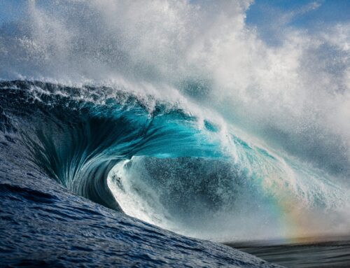 Managing the Tariff Tsunami: What Questions Should Business Owners be Asking?